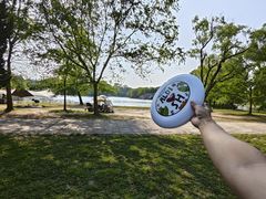 -上海共青森林公园