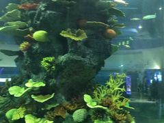 -福州罗源湾海洋世界旅游区