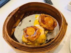 -美心皇宫(屯门大会堂店)