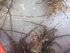 -湛江渔港·大排档(乐园路总店)