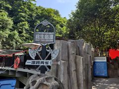 -将军关探险漂流