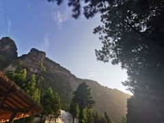 -重庆睡佛山森林公园