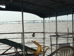 -大湾区中央湿地公园-十九涌
