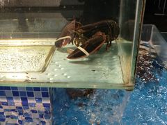 -吕宋海鲜楼