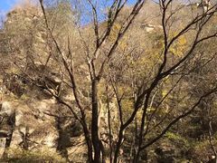 -碓臼峪自然风景区