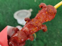 黑色经典老长沙大香肠-黑色经典臭豆腐·湖南特产(步行街店)