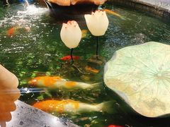 -裕丰源滋补烩面(天赋路店)