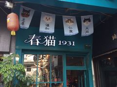 -猫咪博物馆(顶澳仔猫街店)