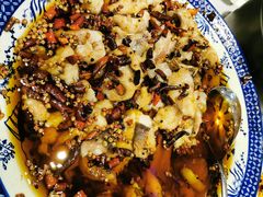 -佳兰雅序融合菜(高新店)