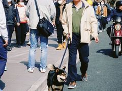 -安福路