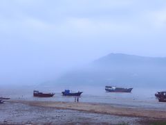 -北岐滩涂