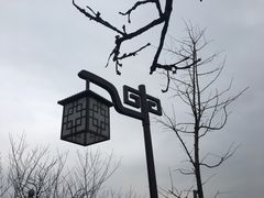 -杭州半山国家森林公园