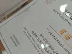 -宠颐生宠物医院·异宠猫科内科·诊疗中心宠巢店