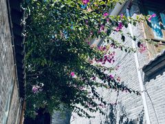 -丽江束河古镇-石莲古寺