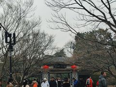 -西湖游船