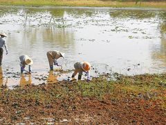 -盘龙城国家考古遗址公园