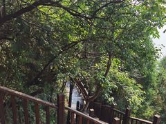-北京十三陵国家森林公园蟒山景区