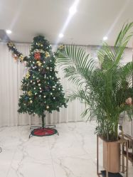 点击看大图 -3AM HAIR SALON烫发染发接发