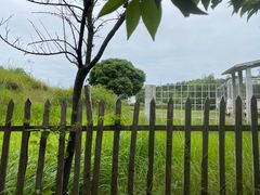 -仙海旅游度假区