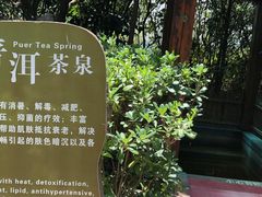 -华侨城阳宗海海景温泉