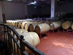 -丹世红酒庄·烧烤·团建·婚礼·水上运动