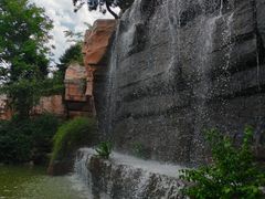 -石家庄市植物园