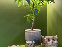 -小西家作•精致蛋糕(富力爱丁堡店)