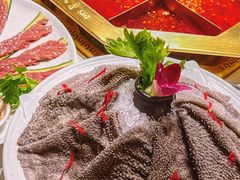 -蜀九香火锅(彩虹店)
