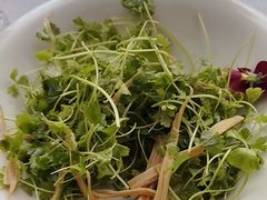 豆黄金拌三叶香-悦融·京鲁菜·露台花园(安定门店)