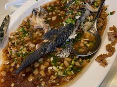 -皇朝会.经典传统粤菜(外滩店)