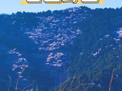 -香山公园