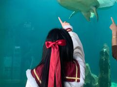 -广东惠东海龟国家级自然保护区