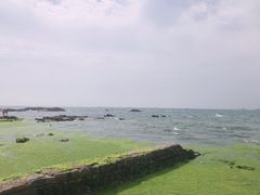 -青岛第二海水浴场