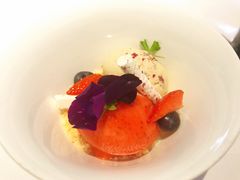 -蝶舍·MAISON PAPILLON