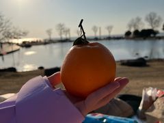 -滆湖低碳生态公园
