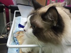 -宠颐生中康贝怡动物医院