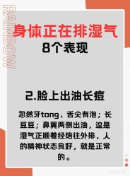 点击看大图 -玛莲朵·海菲秀冰珀科