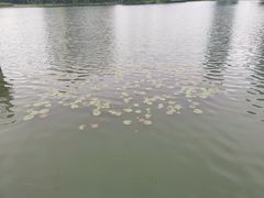 -后襄河公园