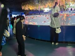 -秦皇岛新澳海底世界