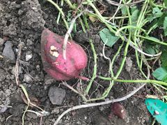 -乡乐园蟹庄·阳澄湖农家乐