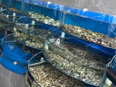 -蓝珊甄选海鲜自助·火锅大排档(近阿那亚店)