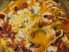 -大鹏饭店·金陵家宴(奥体中心店)