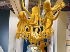 -宜家家居(四元桥商场店)