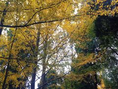 -金堂县云顶石城风景区