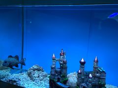 -北戴河圣蓝海洋公园