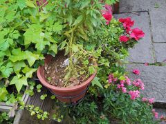 -国生茶庄·地道农家菜团建活动