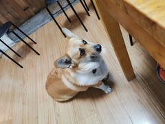 -阿木舂记·特色小吃(平江路店)