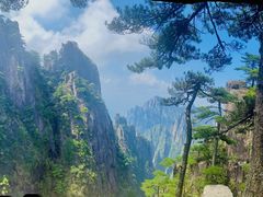 -黄山风景区