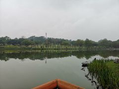 -东莞植物园