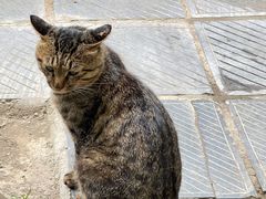 -终南山南五台景区